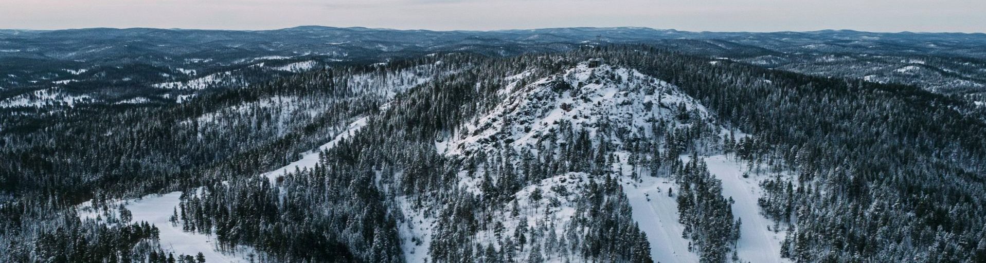 Deadwood Connections