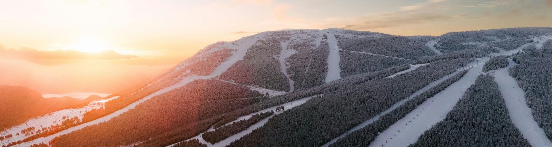 Deadwood Connections