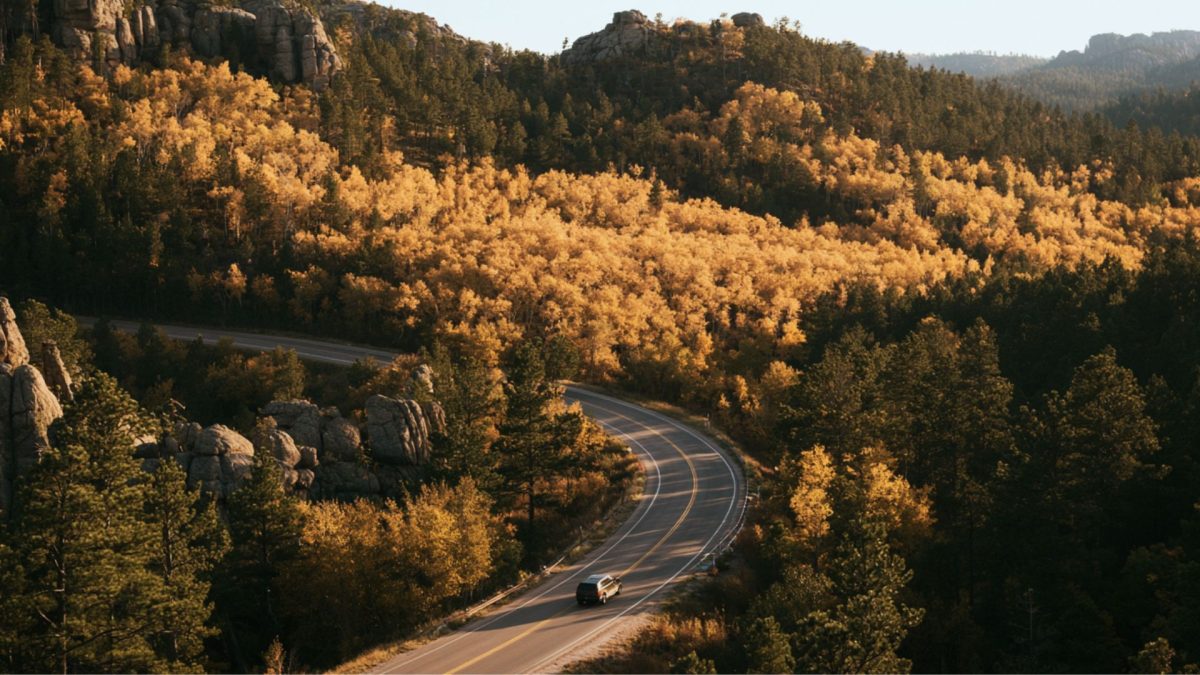 A car driving through vibrant fall foliage in the Black Hills